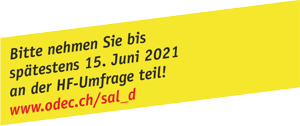 Banner Salär gelb DE